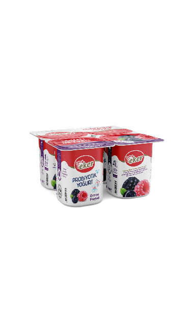 EKER YOGURT ORMAN MEYVE (4x100g) x6 (fruit des bois)