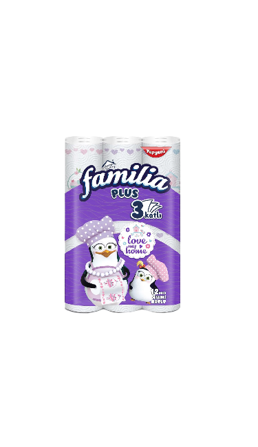 FAMILIA PLUS 3 KATLI KAGID HAVLU DESENLI 12 RULO (essuie tout design)
