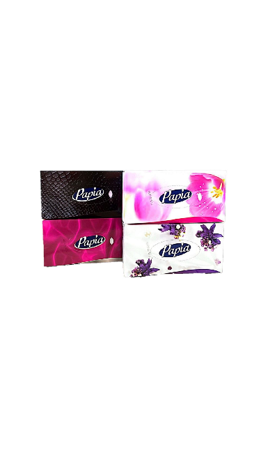PAPIA  FACIAL TISSUE 24x100PCS