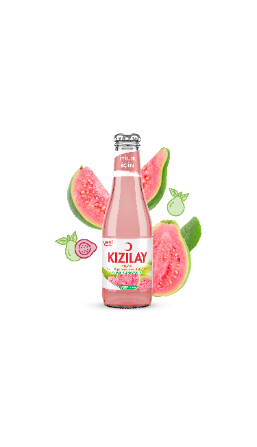 SODA GUAVA 200 ML X24 (eau pétillante goyave)