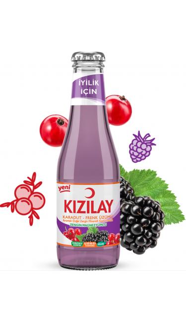 SODA KARADUT-FRENK UZUMU 24x200 ML