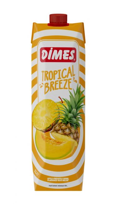 DIMES TROPICAL ANANAS KAVUN  1LT (jus tropical ananas melon)