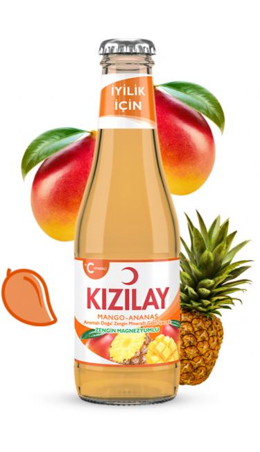 SODA ANANAS-MANGO 24x200 ML (eau pétillante ananas mangue)